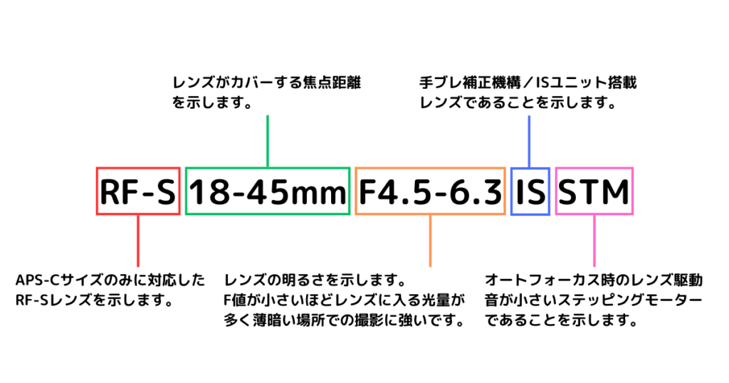 初心者向け】EOS R50のレンズはどれを選ぶ？失敗しないおすすめと予算